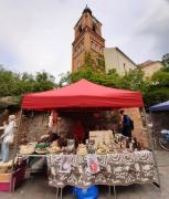 Buckower-Rosentage03