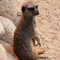 Artenschutztag im Zoo Eberswalde