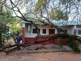 DNEG House