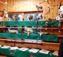 Ombili-Zoo-Shop in Eberswalde