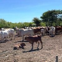 benefiz_2025_483_copy_1