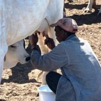 benefiz_2025_484_copy_1