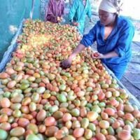 benefiz_2025_487_copy_1