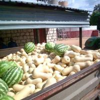 benefiz_2025_489_copy_1