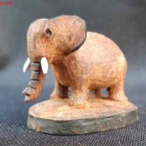 tiere_003