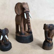 tiere_005