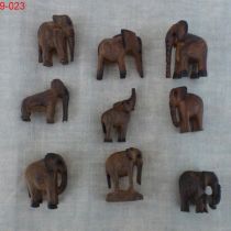 tiere_016