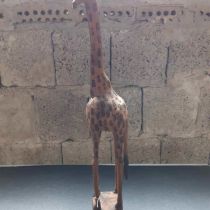 tiere_038