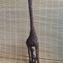 tiere_042