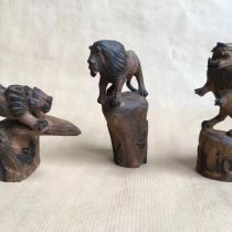tiere_050