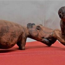 tiere_073