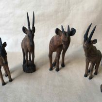 tiere_127