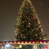 Weihnachtsgans Auguste Markt